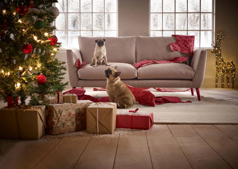 Get a new sofa in time for Christmas Pricesavers